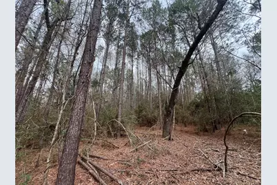 Tbd Baxter Road, Livingston, TX 77351 - Photo 4