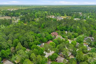 119 N Acacia Park Cir, The Woodlands, TX 77382 - Photo 42