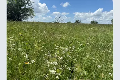 Tbd 18 Ac Baker Ridge Road, Madisonville, TX 75852 - Photo 36