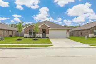 221 Big Springs, Anahuac, TX 77514 - Photo 2