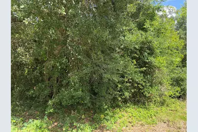Lot 529 Grand Oak Street, Palacios, TX 77465 - Photo 4