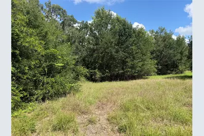 Lot 529 Grand Oak Street, Palacios, TX 77465 - Photo 10