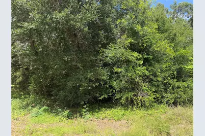 Lot 529 Grand Oak Street, Palacios, TX 77465 - Photo 6