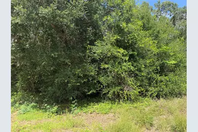 Lot 529 Grand Oak Street, Palacios, TX 77465 - Photo 8