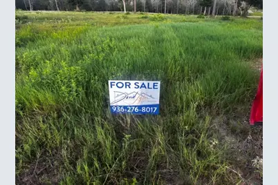 Tbd Anna Grace Lot 35, Livingston, TX 77351 - Photo 2