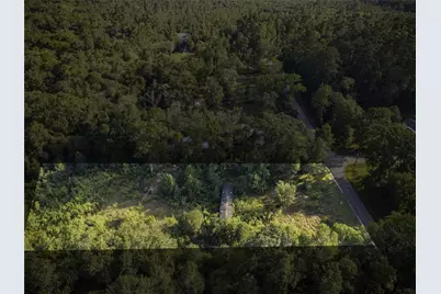 245 County Road 3707, Splendora, TX 77372 - Photo 8