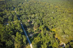 245 County Rd 3707, Splendora, TX 77372 - Photo 2