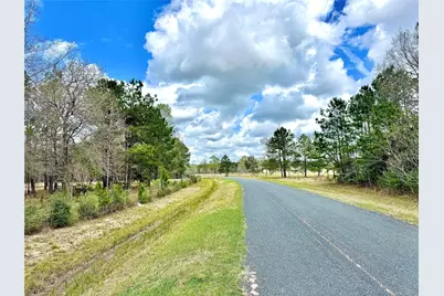 Tbd B Dream Catcher Drive, Wallisville, TX 77597 - Photo 6