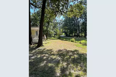 437 Gov Wood Drive, Point Blank, TX 77364 - Photo 4