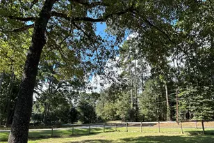 437 Gov Wood Dr, Point Blank, TX 77364 - Photo 6