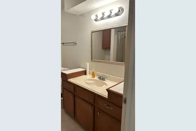 437 Gov Wood Drive, Point Blank, TX 77364 - Photo 16