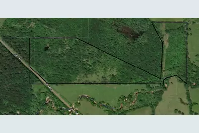 0 W Fm 2262, Apple Springs, TX 75926 - Photo 1