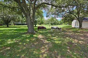 19407 Pine Tree Ln, Waller, TX 77484 - Photo 36