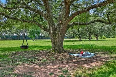 19407 Pine Tree Lane, Waller, TX 77484 - Photo 34