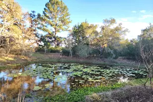 Tbd Fm-3283, Hallettsville, TX 77964 - Photo 6