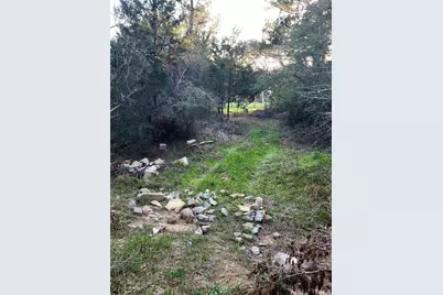 Tbd Fm-3283, Hallettsville, TX 77964 - Photo 4