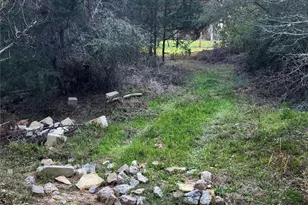 Tbd Fm-3283, Hallettsville, TX 77964 - Photo 4