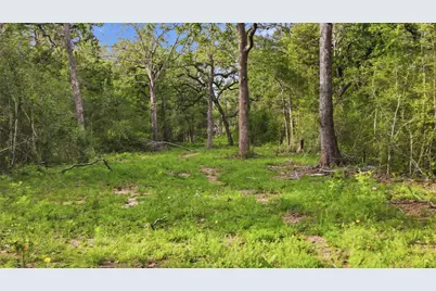 1165 Cr 213, Weimar, TX 78962 - Photo 36