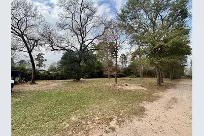 000 Mary Lane, Montgomery, TX 77316 - Photo 10