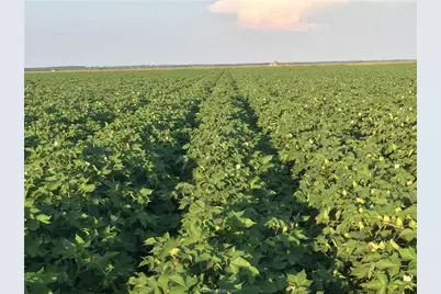 12485 Sandy Point Road, Bryan, TX 77807 - Photo 2