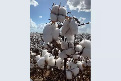 12485 Sandy Point Road, Bryan, TX 77807 - Photo 12