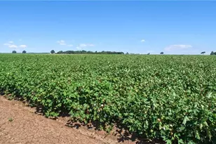 12485 Sandy Point Rd, Bryan, TX 77807 - Photo 10
