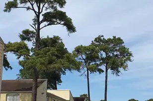 6200 W Tidwell Rd, Houston, TX 77092 - Photo 26