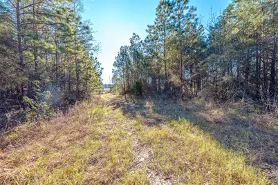 898 Taylor Lake Road, Livingston, TX 77351 - Photo 12