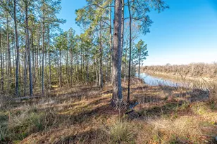 898 Taylor Lake Rd, Livingston, TX 77351 - Photo 1