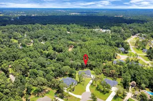 19801 Whispering Crk Trl, Magnolia, TX 77355 - Photo 8