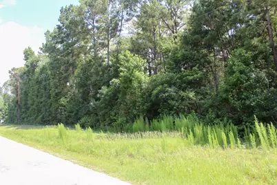 3B-15-22 Fire Sky Road, Huntsville, TX 77340 - Photo 2