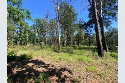 Lot 22 Pr 1313, Centerville, TX 75833 - Photo 38