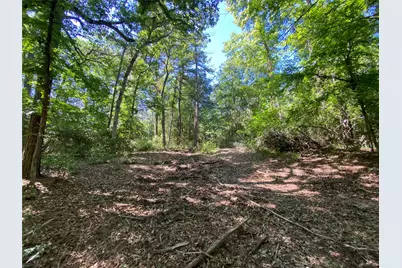Lot 22 Pr 1313, Centerville, TX 75833 - Photo 26