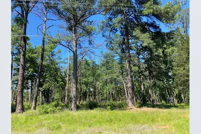 Lot 22 Pr 1313, Centerville, TX 75833 - Photo 20