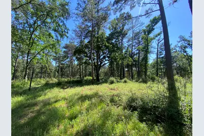 Lot 22 Pr 1313, Centerville, TX 75833 - Photo 34