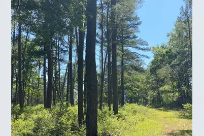 Lot 22 Pr 1313, Centerville, TX 75833 - Photo 30