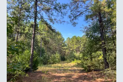 T-5 Fm 256, Woodville, TX 75979 - Photo 4