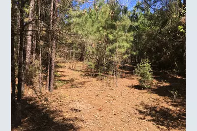 0 E Marion Ab 720 18 22 Ac, Kennard, TX 75847 - Photo 1