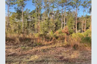 319 County Road 4050, Woodville, TX 75979 - Photo 20