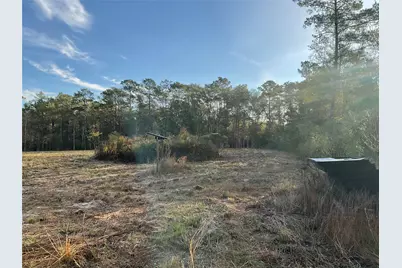319 County Road 4050, Woodville, TX 75979 - Photo 12