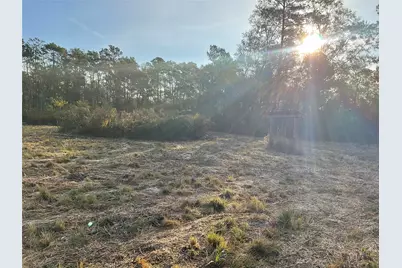 319 County Road 4050, Woodville, TX 75979 - Photo 16