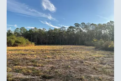 319 County Road 4050, Woodville, TX 75979 - Photo 4