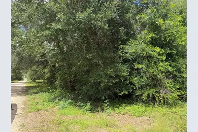 0 Cr 476, Blessing, TX 77419 - Photo 2