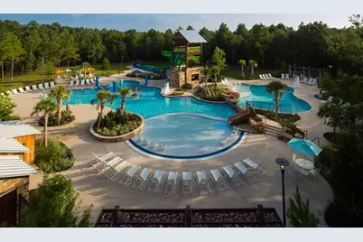 221 Sky Top Drive, Montgomery, TX 77316 - Photo 42