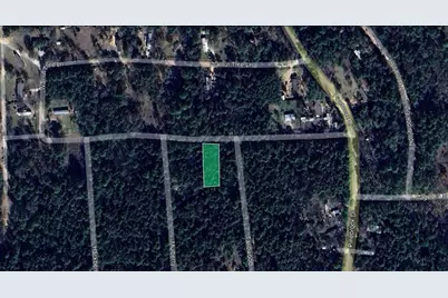 0 Sycamore Lane, Plantersville, TX 77363 - Photo 4