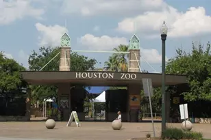 1907 Oakdale St, Houston, TX 77004 - Photo 36