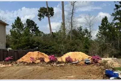 40219 Bay Warbler Court, Magnolia, TX 77354 - Photo 2