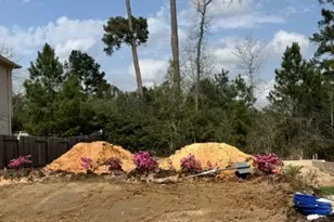 40219 Bay Warbler Ct, Magnolia, TX 77354 - Photo 2