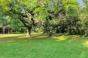 6318 Tercero, Brazoria, TX 77422 - Photo 38