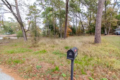24510 Pine Canyon Dr, Spring, TX 77380 - Photo 10